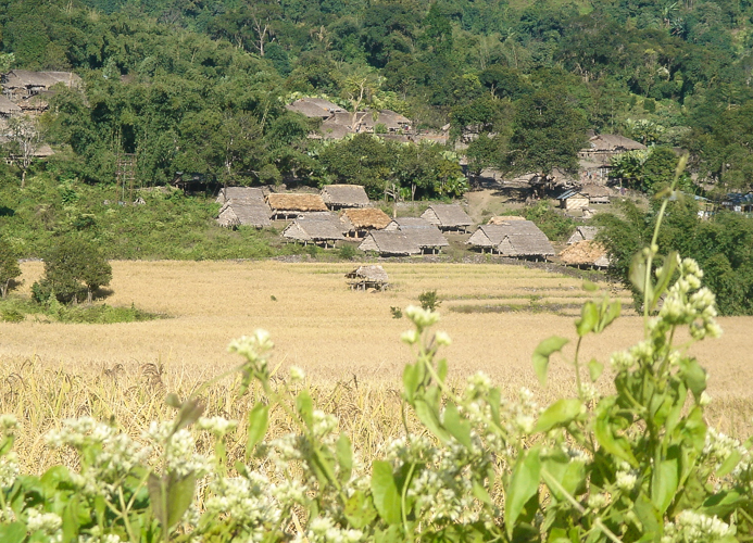 Martin-pêcheur coloré en vol au-dessus d'une rivière indienne